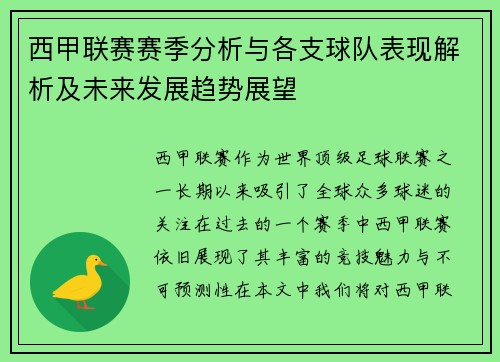 西甲联赛赛季分析与各支球队表现解析及未来发展趋势展望